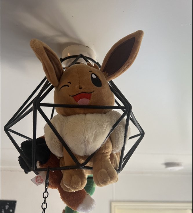 Eevee! In my light fixture hehe