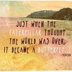 saw-this-picture-and-fell-in-love-with-the-quote-it-s-so-true-when-Tx7i9Q-quote.jpg