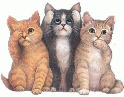 cataa.jpg