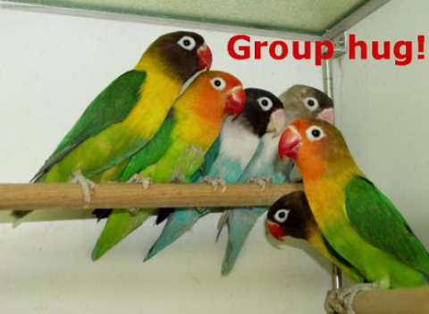 undefined